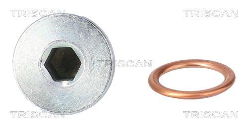 TRISCAN 9500 1019 &Ouml;lablassschraube f&uuml;r M16X1.5