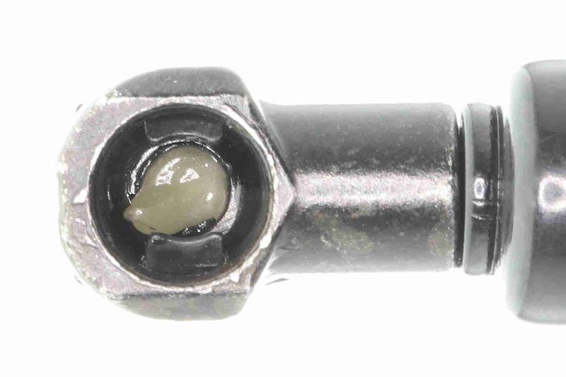 ACKOJA A70-0492 Gasfeder, Koffer-/Laderaum für TOYOTA