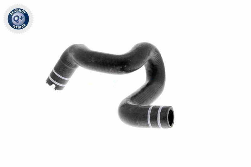 VAICO V24-0806 K&uuml;hlerschlauch f&uuml;r FIAT