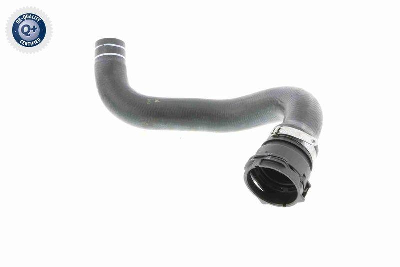 VAICO V24-0822 K&uuml;hlerschlauch f&uuml;r FIAT