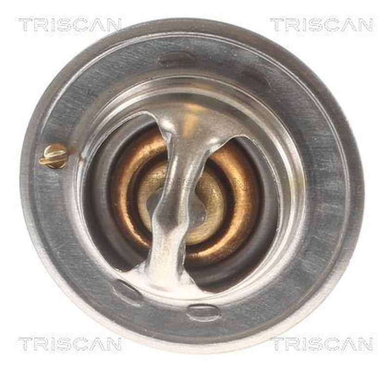TRISCAN 8620 10588 Thermostat f&uuml;r Ford (1)