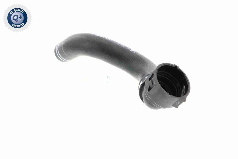 VAICO V24-0835 K&uuml;hlerschlauch f&uuml;r FIAT