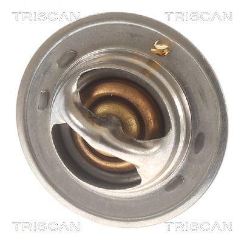 TRISCAN 8620 10592 Thermostat f&uuml;r Ford (1)