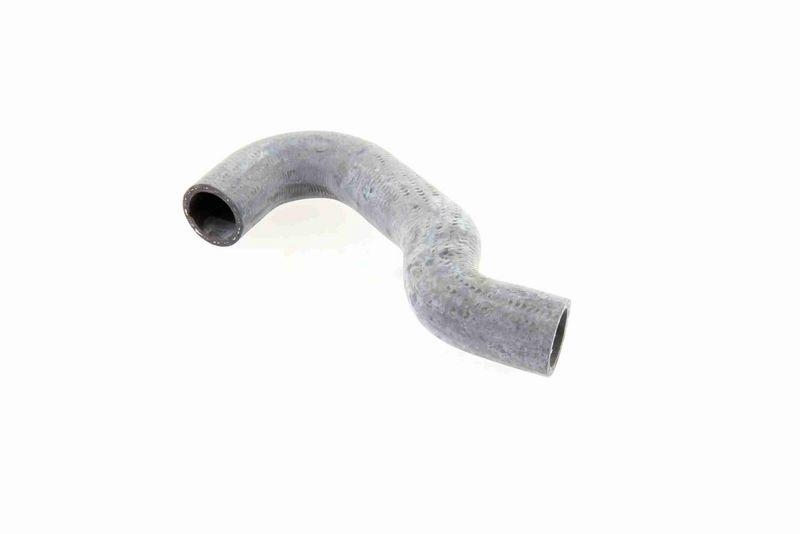 VAICO V10-0066 K&uuml;hlerschlauch K&uuml;hler, Anschlu&szlig; unten f&uuml;r VW