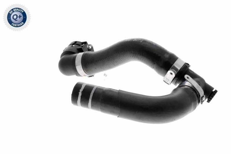 VAICO V24-0845 K&uuml;hlerschlauch f&uuml;r FIAT
