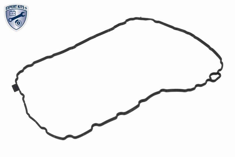 VAICO V10-5391 Hydraulikfiltersatz, Automatikgetriebe 7-Gang S-Tronic (Dl382) für VW