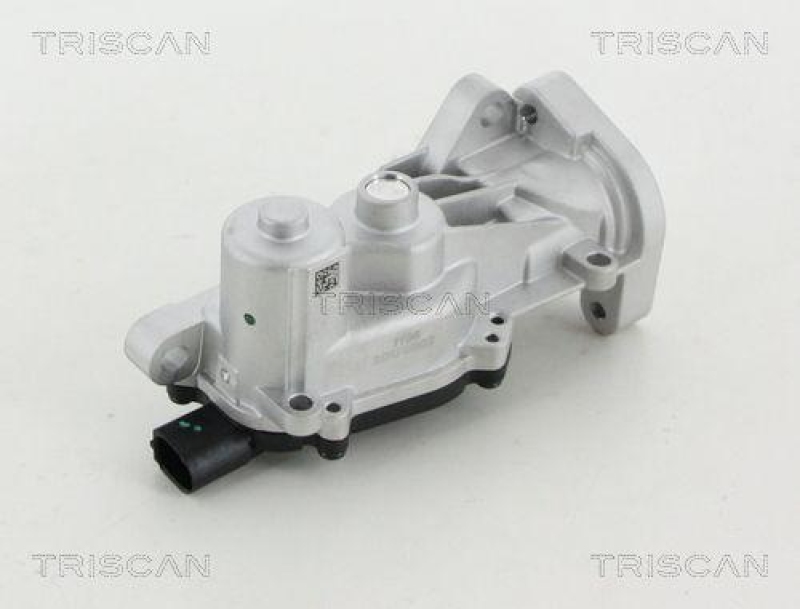 TRISCAN 8813 24040 Agr Ventil f&uuml;r Opel/Gm