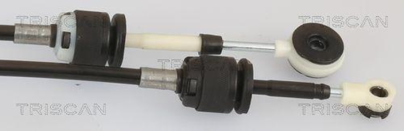 TRISCAN 8140 16742 Seilzug, Schaltgetriebe Manuel für Ford