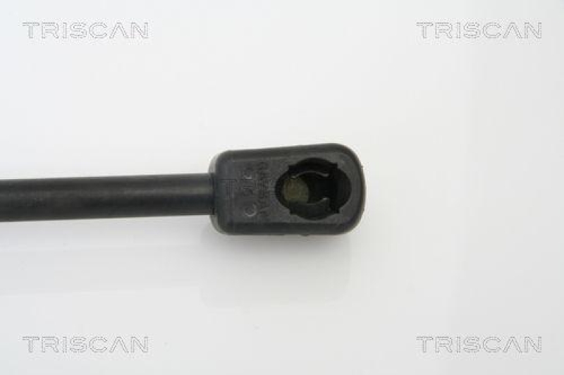 TRISCAN 8710 16238 Gasfeder Hinten f&uuml;r Ford C-Max