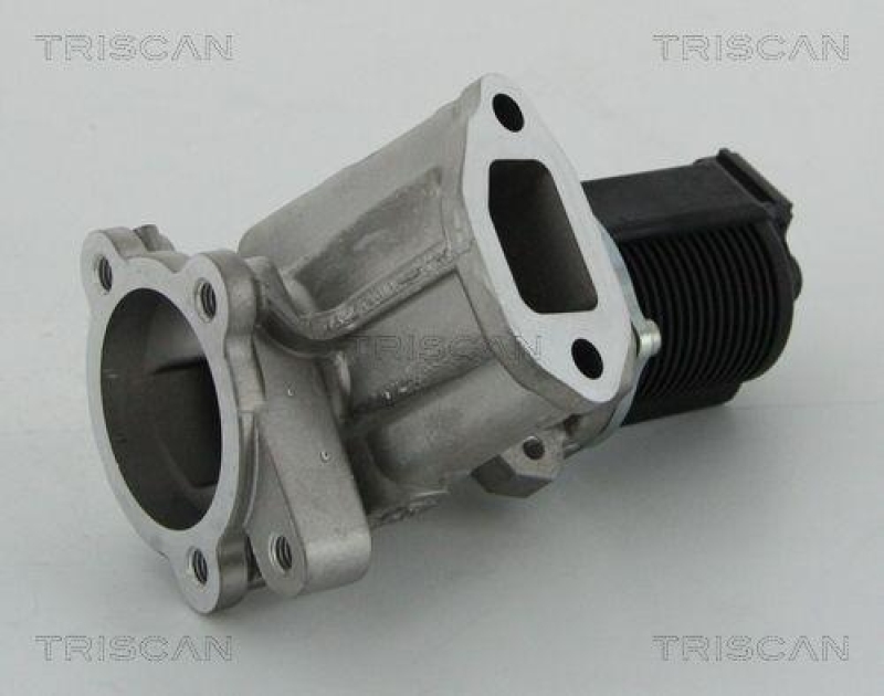 TRISCAN 8813 24204 Agr Ventil f&uuml;r Toyota