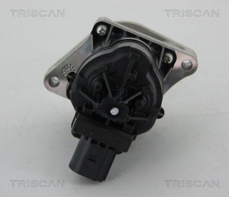 TRISCAN 8813 24205 Agr Ventil f&uuml;r Opel