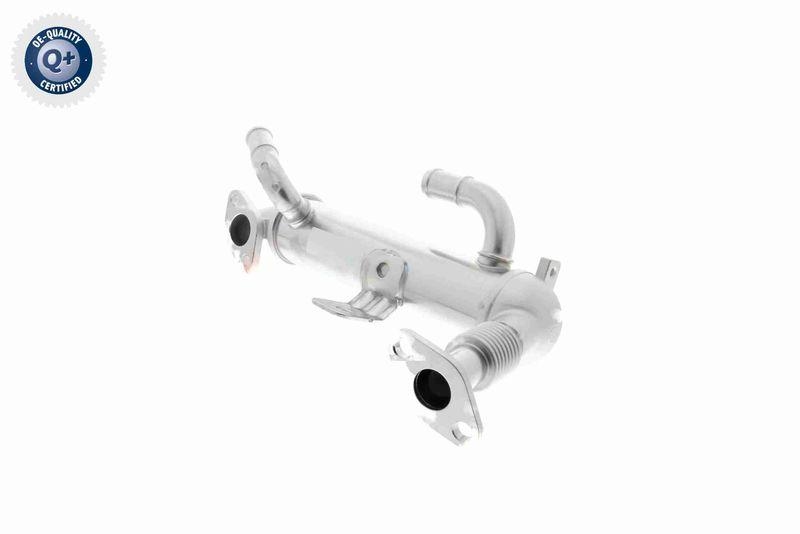 ACKOJA A52-63-0017 K&uuml;hler, Abgasr&uuml;ckf&uuml;hrung Wassergek&uuml;hlt f&uuml;r HYUNDAI