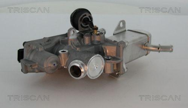 TRISCAN 8813 25013 Agr Ventil f&uuml;r Renault/Dacia