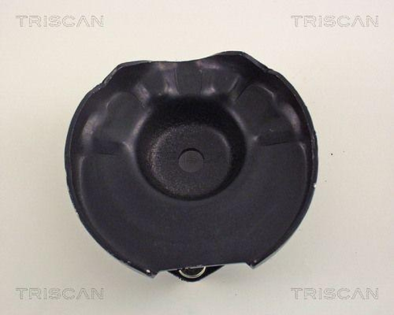 TRISCAN 8500 50907 Federbeinlager Hinten f&uuml;r Mazda 626 Gd