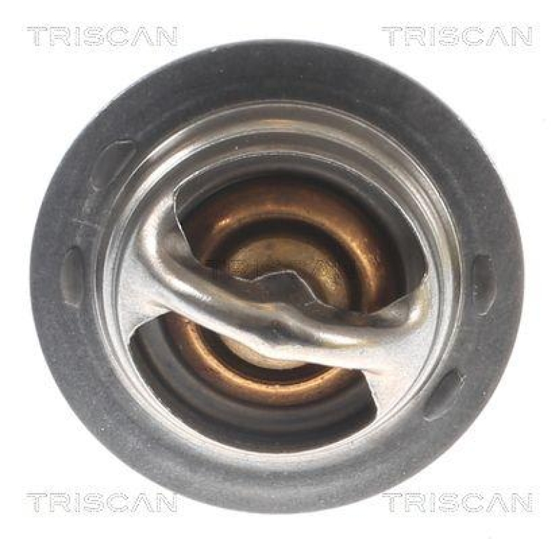 TRISCAN 8620 1388 Thermostat f&uuml;r Citroen (1)