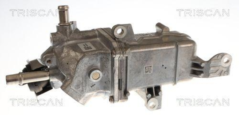 TRISCAN 8813 25048 Agr Ventil f&uuml;r Renault