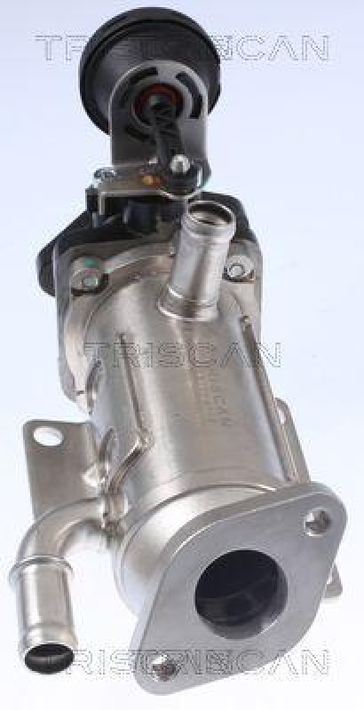 TRISCAN 8813 25101 K&uuml;hler, Abgasr&uuml;ckf&uuml;hrung f&uuml;r Renault