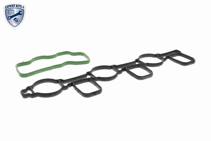 VAICO V10-6483 Saugrohrmodul inkl. Dichtung, rechts f&uuml;r VW