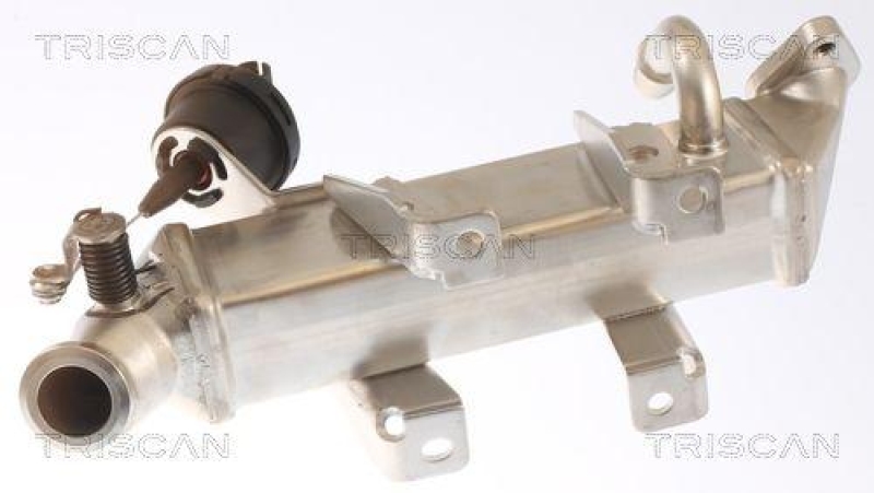 TRISCAN 8813 25103 K&uuml;hler, Abgasr&uuml;ckf&uuml;hrung f&uuml;r Renault