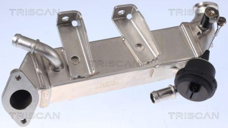 TRISCAN 8813 25104 K&uuml;hler, Abgasr&uuml;ckf&uuml;hrung f&uuml;r Renault