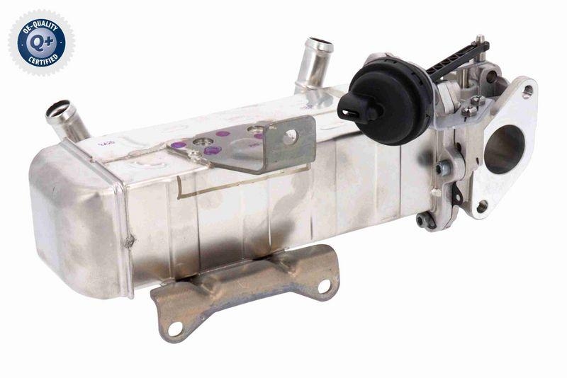 ACKOJA A52-63-0038 K&uuml;hler, Abgasr&uuml;ckf&uuml;hrung mit Dichtungen f&uuml;r HYUNDAI