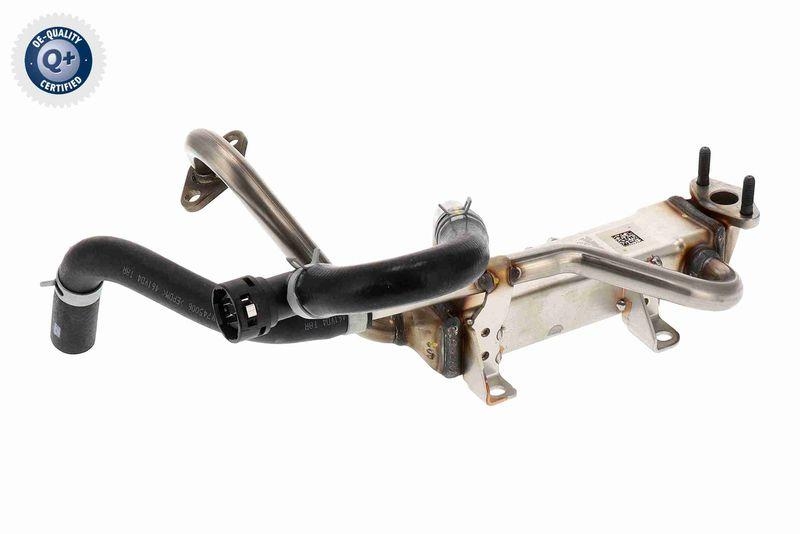 ACKOJA A52-63-0040 K&uuml;hler, Abgasr&uuml;ckf&uuml;hrung f&uuml;r HYundAI