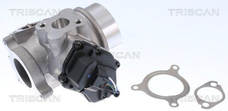 TRISCAN 8813 25200 Agr Ventil f&uuml;r Renault
