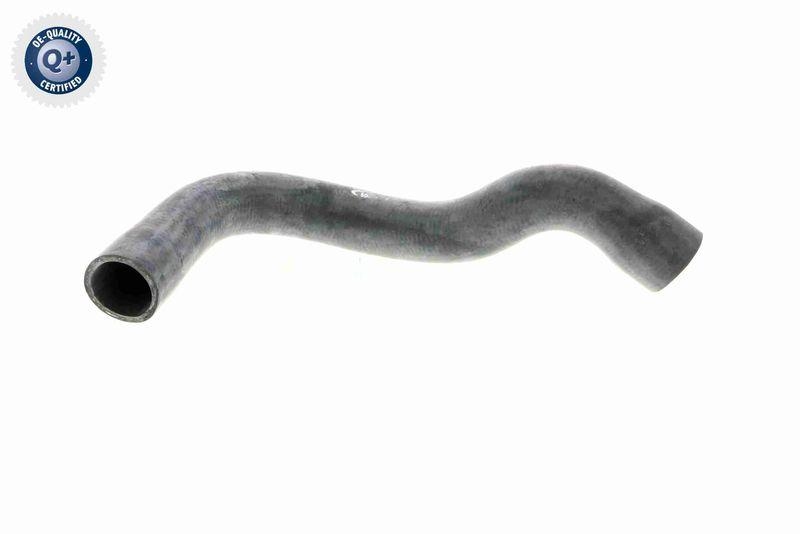 VAICO V20-1242 K&uuml;hlerschlauch f&uuml;r BMW