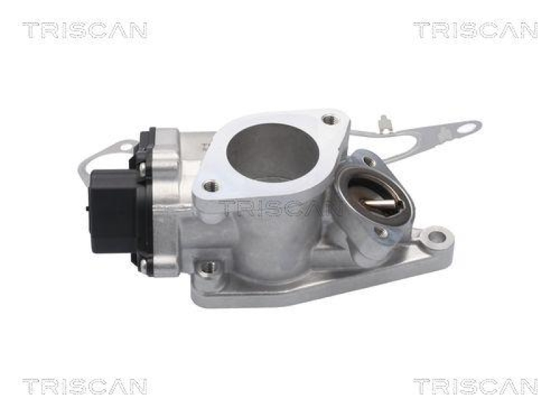 TRISCAN 8813 25201 Agr Ventil f&uuml;r Renault