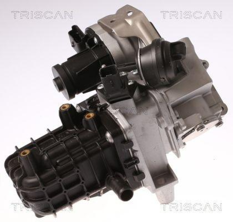 TRISCAN 8813 28046 Agr Ventil f&uuml;r Citroen, Peugeot