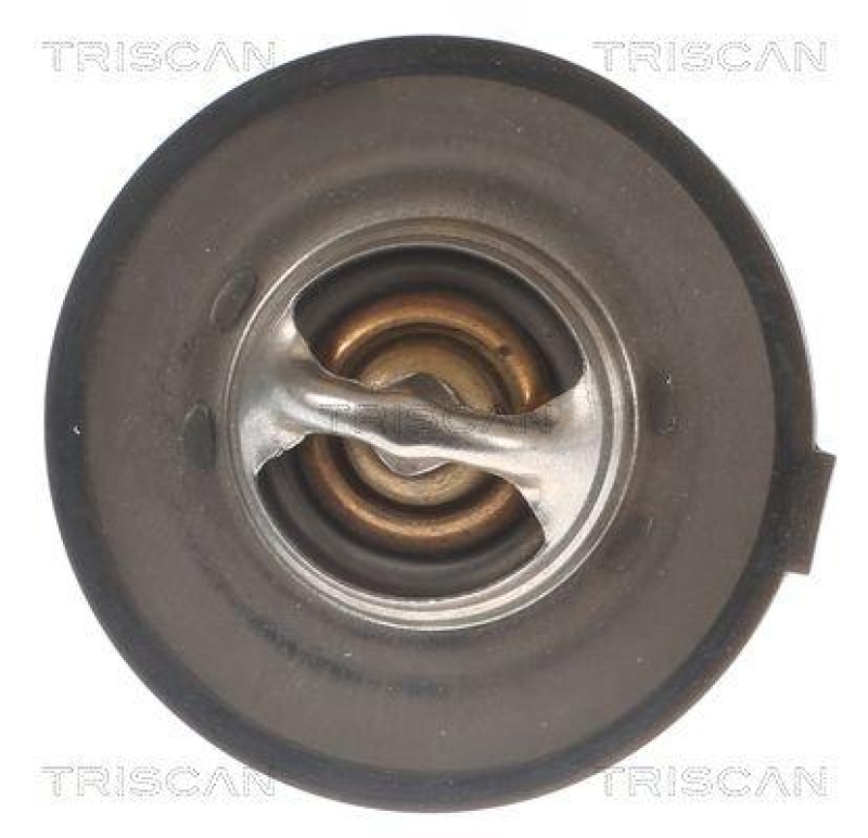 TRISCAN 8620 1875 Thermostat für Peugeot (1)