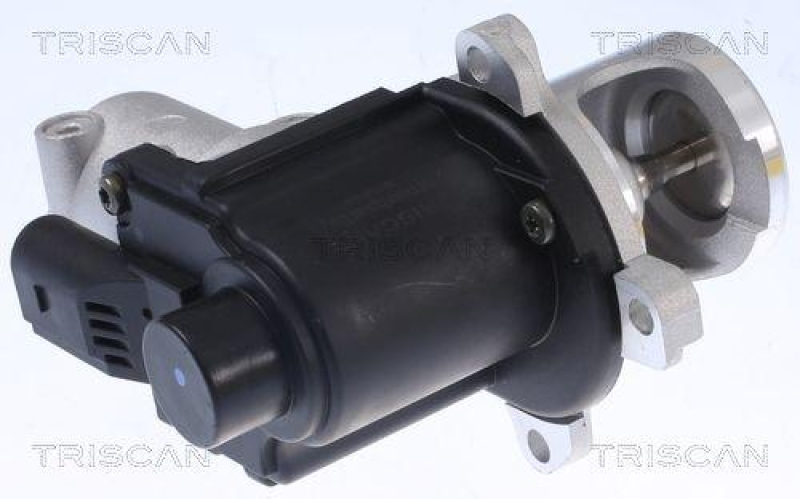 TRISCAN 8813 29015 Agr Ventil f&uuml;r Vag