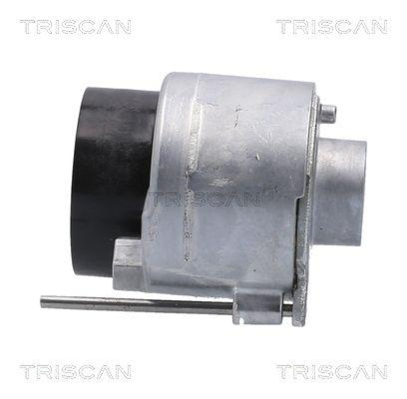TRISCAN 8641 103060 Spannrolle