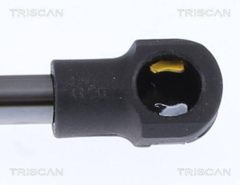 TRISCAN 8710 292058 Gasfeder Hinten f&uuml;r Audi A5 Cabrio
