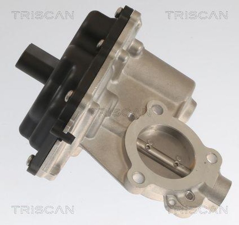 TRISCAN 8813 29083 Agr Ventil f&uuml;r Vag