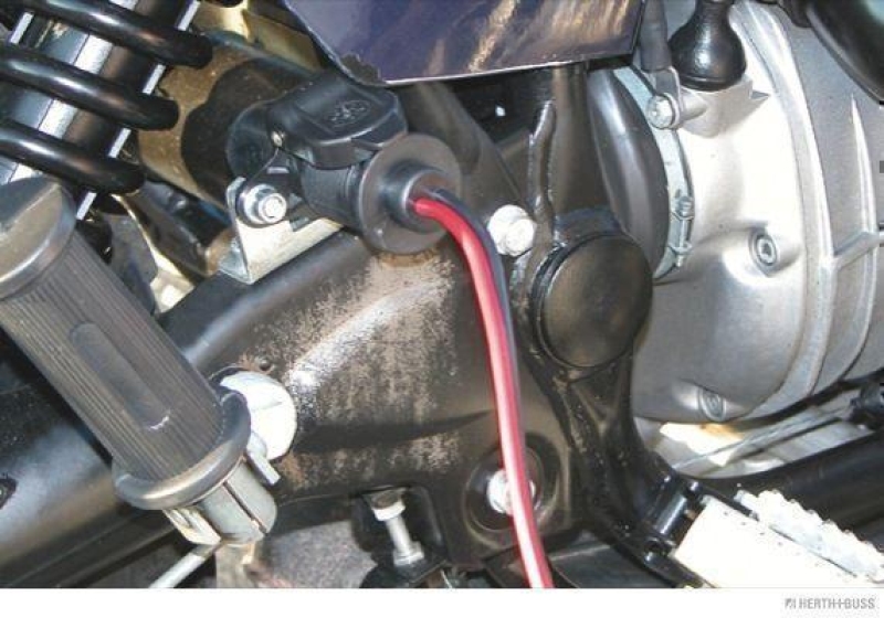 HERTH+BUSS 51305136 Steckdose 12 - 24 V