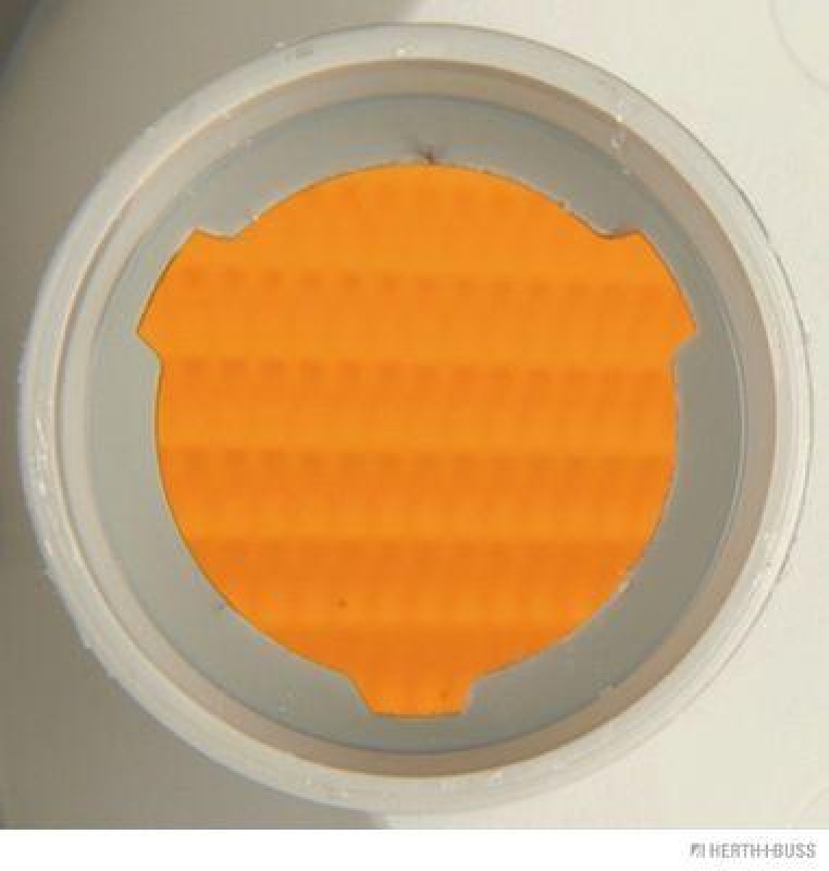 HERTH+BUSS 83700034 Blinkleuchte links, P21W