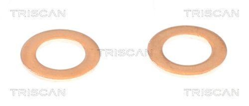 TRISCAN 8150 432016 Bremsschlauch Hinten f&uuml;r Hyundai, Kia