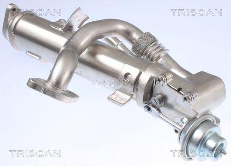 TRISCAN 8813 29329 K&uuml;hler, Abgasr&uuml;ckf&uuml;hrung f&uuml;r Volkswagen, Seat