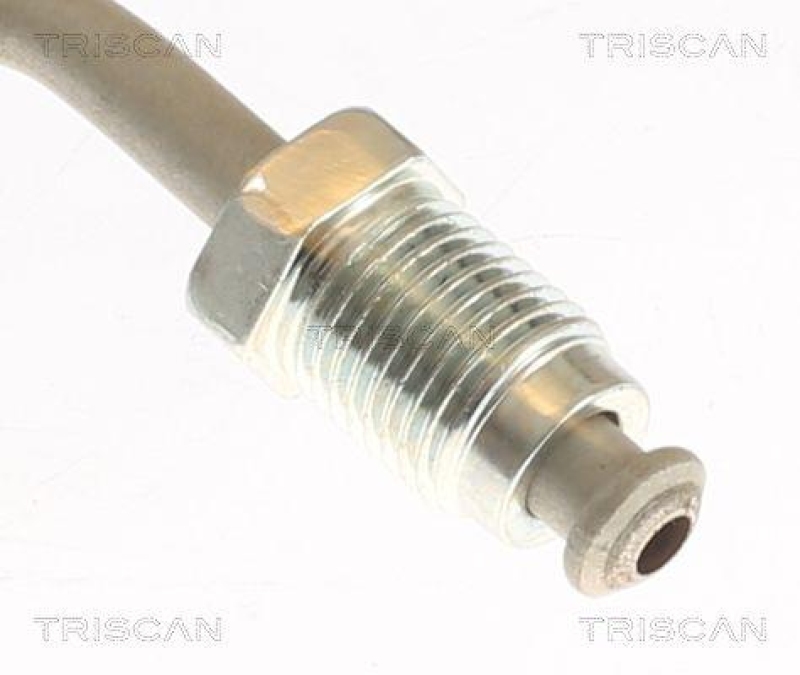TRISCAN 8150 432019 Bremsschlauch Hinten f&uuml;r Hyundai, Kia