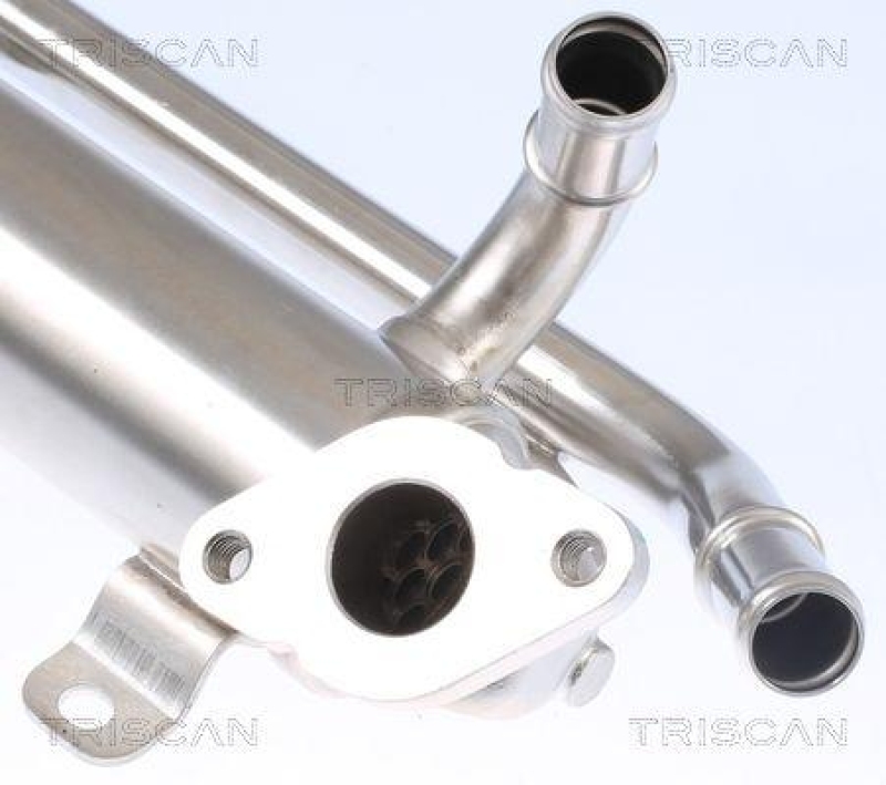 TRISCAN 8813 29335 K&uuml;hler, Abgasr&uuml;ckf&uuml;hrung f&uuml;r Seat, Skoda, Vw