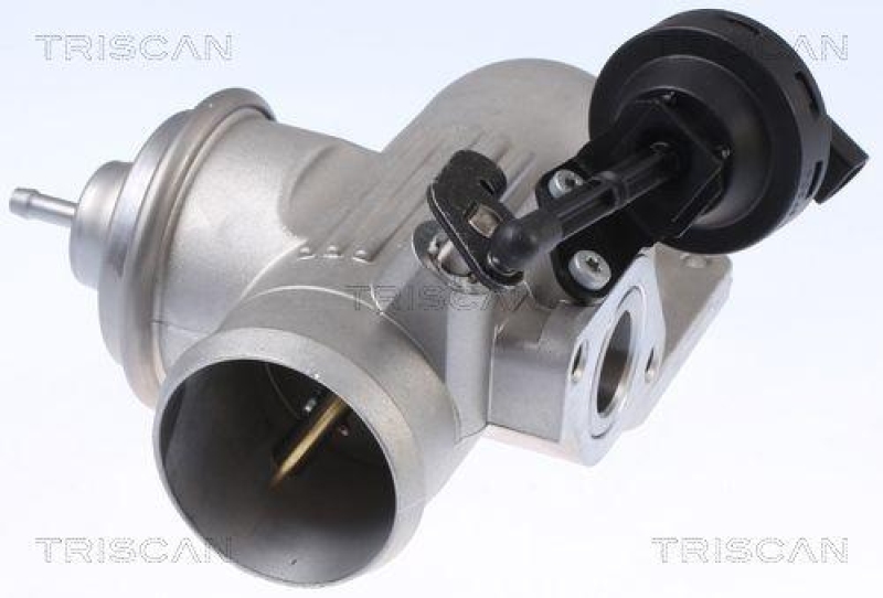 TRISCAN 8813 29342 Agr Ventil f&uuml;r Vw