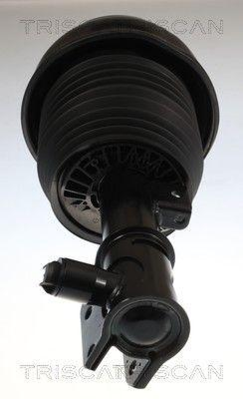 TRISCAN 8750 23112 Spiralfeder Hinten