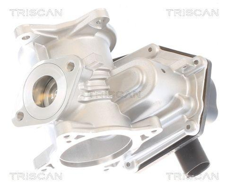 TRISCAN 8813 29348 Agr Ventil f&uuml;r Vw