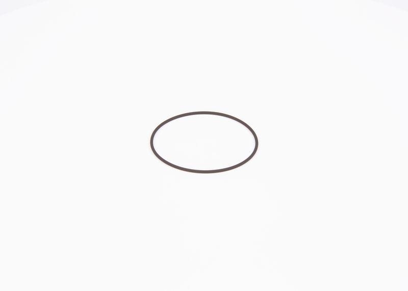 BOSCH F 01M 100 371 Dichtring