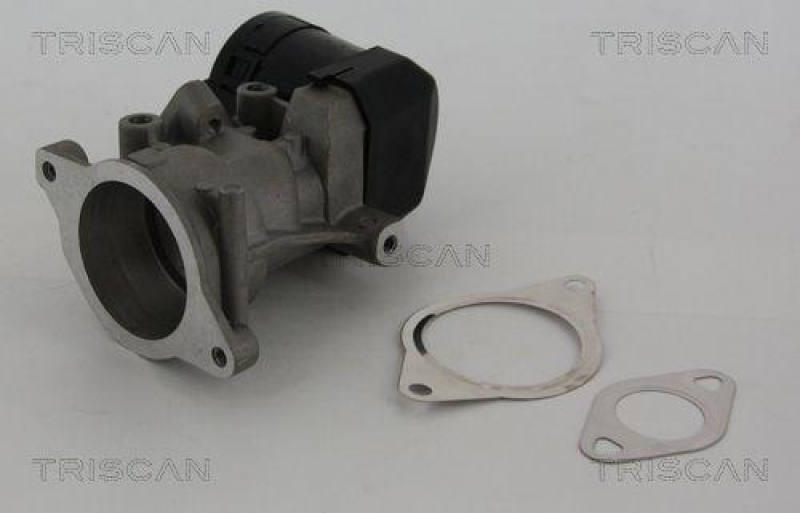 TRISCAN 8813 10001 Agr Ventil f&uuml;r Ford/Volvo/Mazda
