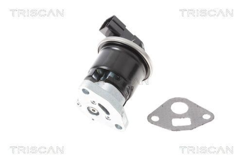TRISCAN 8813 40013 Agr Ventil f&uuml;r Honda