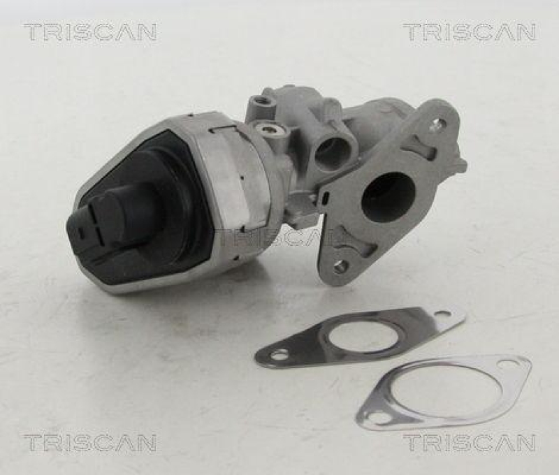 TRISCAN 8813 10002 Agr Ventil f&uuml;r Psa/Fiat/Gm