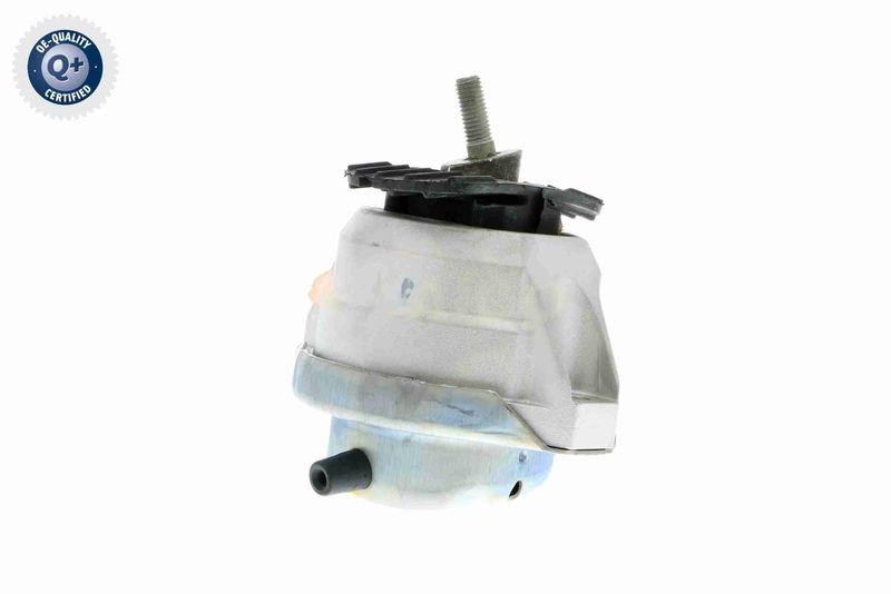 VAICO V20-0497 Lagerung, Motor links Hydraulisch f&uuml;r BMW