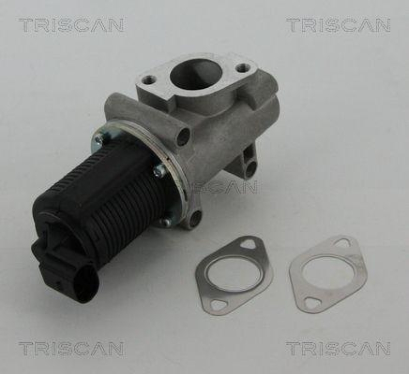 TRISCAN 8813 10005 Agr Ventil f&uuml;r Psa/Fiat/Gm